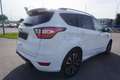 Ford Kuga 2.0 TDCi ST-Line 2WD Start/Stopp Weiß - thumbnail 13