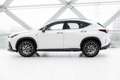 Lexus NX 450h+ AWD F Sport Line | Apple Carplay | Stoelverwarming Blanco - thumbnail 3