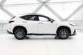 Lexus NX 450h+ AWD F Sport Line | Apple Carplay | Stoelverwarming Wit - thumbnail 12