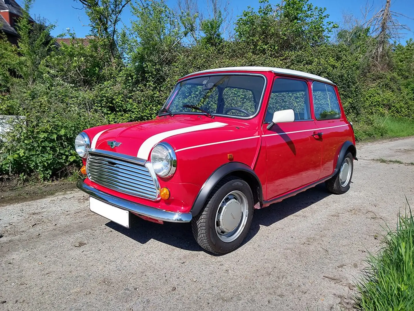 MINI 1000 Rouge - 1