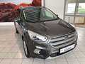 Ford Kuga 1.5 EcoBoost Cool & Connect/AHK/WINTER-PAKET Grau - thumbnail 1
