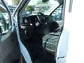 Ford Transit 350 L2 Trend Weiß - thumbnail 9
