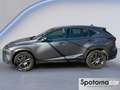 Lexus NX 300 NX Hybrid 4WD Business Grau - thumbnail 3