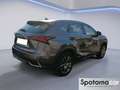Lexus NX 300 NX Hybrid 4WD Business Grau - thumbnail 20