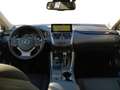 Lexus NX 300 NX Hybrid 4WD Business Grau - thumbnail 9