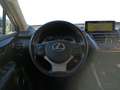 Lexus NX 300 NX Hybrid 4WD Business Grau - thumbnail 10