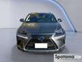 Lexus NX 300 NX Hybrid 4WD Business Grau - thumbnail 5