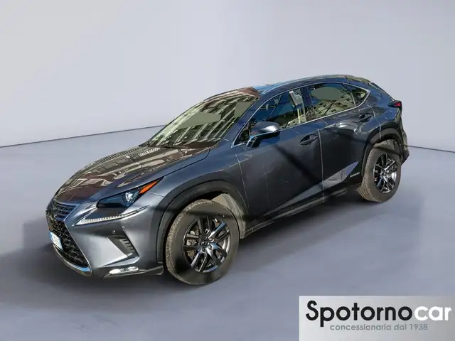 Lexus NX 300 NX Hybrid 4WD Business