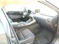 Lexus NX 300 NX Hybrid 4WD Business Grau - thumbnail 6