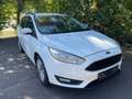 Ford Focus Turnier 1.5 TDCi DPF Start-Stopp-System Business Weiß - thumbnail 2