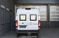 Fiat Ducato Camper Wohmobil Weiß - thumbnail 4