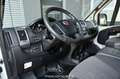 Fiat Ducato Camper Wohmobil Weiß - thumbnail 9