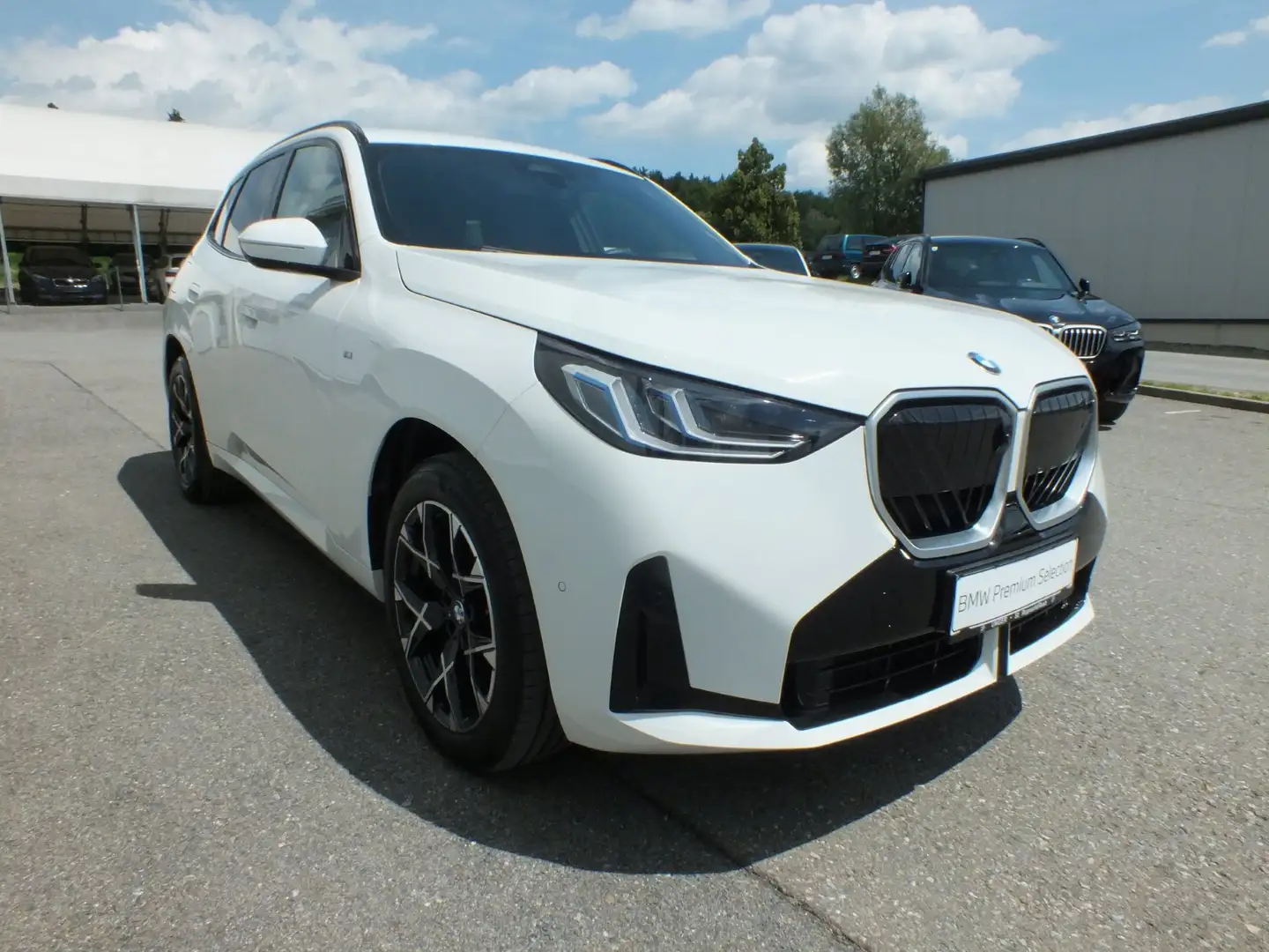 BMW X3 30e xDrive Weiß - 2