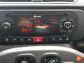 Fiat Panda City Life Hybrid 1.0 Gse 51kw (70CV) Gris - thumbnail 23