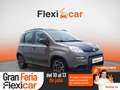 Fiat Panda City Life Hybrid 1.0 Gse 51kw (70CV) Gris - thumbnail 1