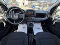 Fiat Pandina 1.0 Mild Hybrid Icon PDC - Sofort verfügbar Weiß - thumbnail 12