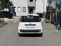 Fiat Pandina 1.0 Mild Hybrid Icon PDC - Sofort verfügbar Weiß - thumbnail 5