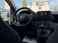 Fiat Pandina 1.0 Mild Hybrid Icon PDC - Sofort verfügbar Weiß - thumbnail 17