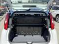 Fiat Pandina 1.0 Mild Hybrid Icon PDC - Sofort verfügbar Weiß - thumbnail 26