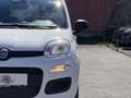 Fiat Pandina 1.0 Mild Hybrid Icon PDC - Sofort verfügbar Weiß - thumbnail 29