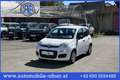 Fiat Pandina 1.0 Mild Hybrid Icon PDC - Sofort verfügbar Weiß - thumbnail 1