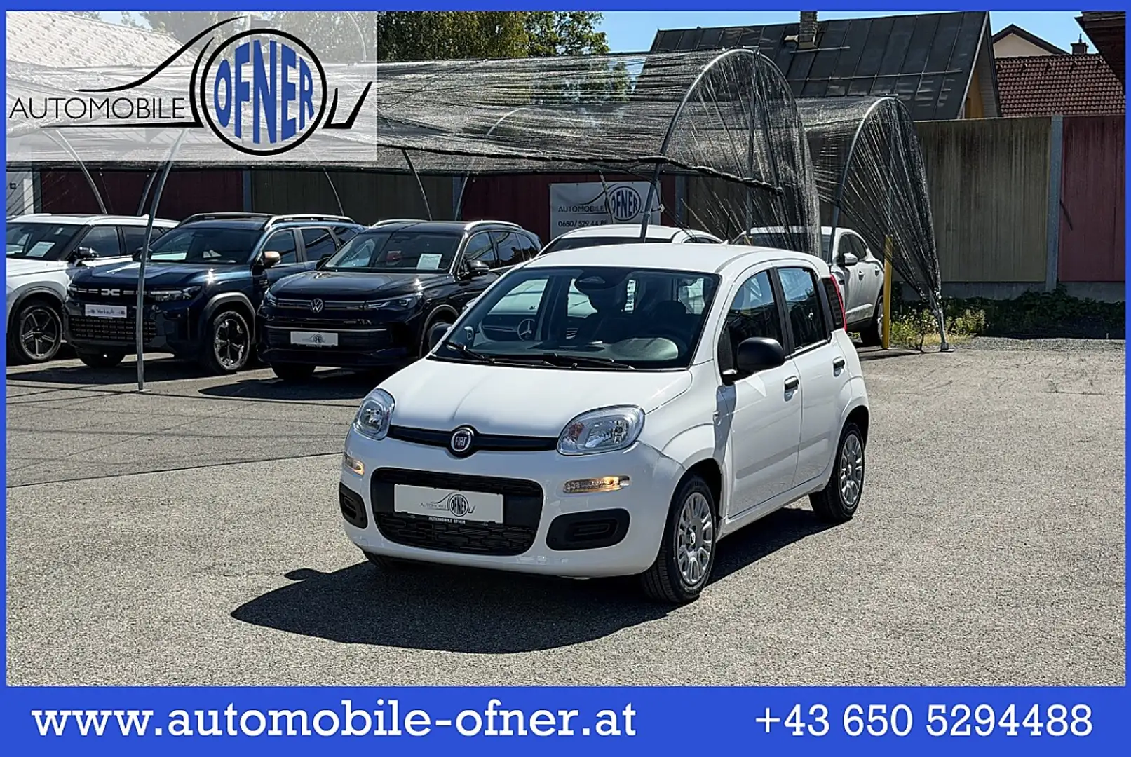 Fiat Pandina 1.0 Mild Hybrid Icon PDC - Sofort verfügbar Weiß - 1
