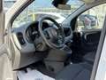 Fiat Pandina 1.0 Mild Hybrid Icon PDC - Sofort verfügbar Weiß - thumbnail 13