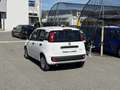 Fiat Pandina 1.0 Mild Hybrid Icon PDC - Sofort verfügbar Weiß - thumbnail 6