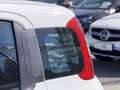 Fiat Pandina 1.0 Mild Hybrid Icon PDC - Sofort verfügbar Weiß - thumbnail 27