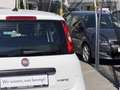 Fiat Pandina 1.0 Mild Hybrid Icon PDC - Sofort verfügbar Weiß - thumbnail 28