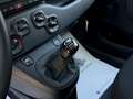 Fiat Pandina 1.0 Mild Hybrid Icon PDC - Sofort verfügbar Weiß - thumbnail 23