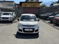Fiat Pandina 1.0 Mild Hybrid Icon PDC - Sofort verfügbar Weiß - thumbnail 2