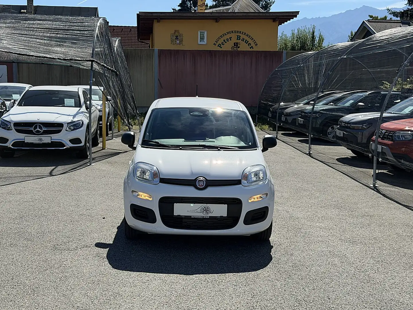 Fiat Pandina 1.0 Mild Hybrid Icon PDC - Sofort verfügbar Weiß - 2