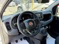 Fiat Pandina 1.0 Mild Hybrid Icon PDC - Sofort verfügbar Weiß - thumbnail 14