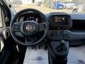 Fiat Pandina 1.0 Mild Hybrid Icon PDC - Sofort verfügbar Weiß - thumbnail 15