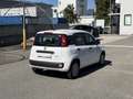 Fiat Pandina 1.0 Mild Hybrid Icon PDC - Sofort verfügbar Weiß - thumbnail 4