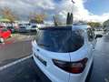 Ford EcoSport Active *RFK*NAVI*SHZ*KEYLESS*B&O* DAB Blanco - thumbnail 15