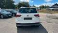 Volkswagen Tiguan Highline BMT/Start-Stopp 4Motion/Kamera Weiß - thumbnail 6