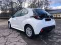 Toyota Yaris Comfort 1.Hand neuwertiger Zustand Weiß - thumbnail 14