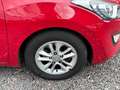 Hyundai i30 Trend 1.6 Klimaautomatik Sitzheizung Rouge - thumbnail 5