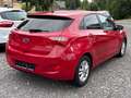 Hyundai i30 Trend 1.6 Klimaautomatik Sitzheizung Rouge - thumbnail 3
