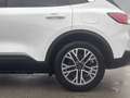 Ford Kuga 2.5 Duratec PHEV TITANIUM Weiß - thumbnail 9