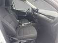 Ford Kuga 2.5 Duratec PHEV TITANIUM Weiß - thumbnail 3