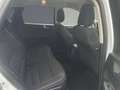 Ford Kuga 2.5 Duratec PHEV TITANIUM Weiß - thumbnail 5