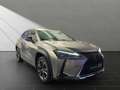 Lexus UX 250h 250H*STYLE*1HD* 15J-GARANTIE Silber - thumbnail 5