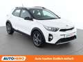 Kia Stonic 1.0 TGDI Silber Blanc - thumbnail 8