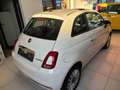 Fiat 500 1.0 Hybrid Dolcevita Blanco - thumbnail 2