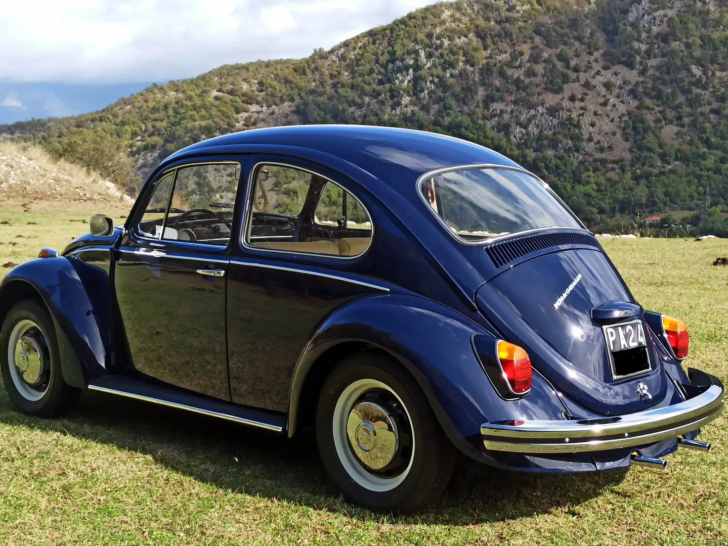 Volkswagen Käfer Albastru - 2