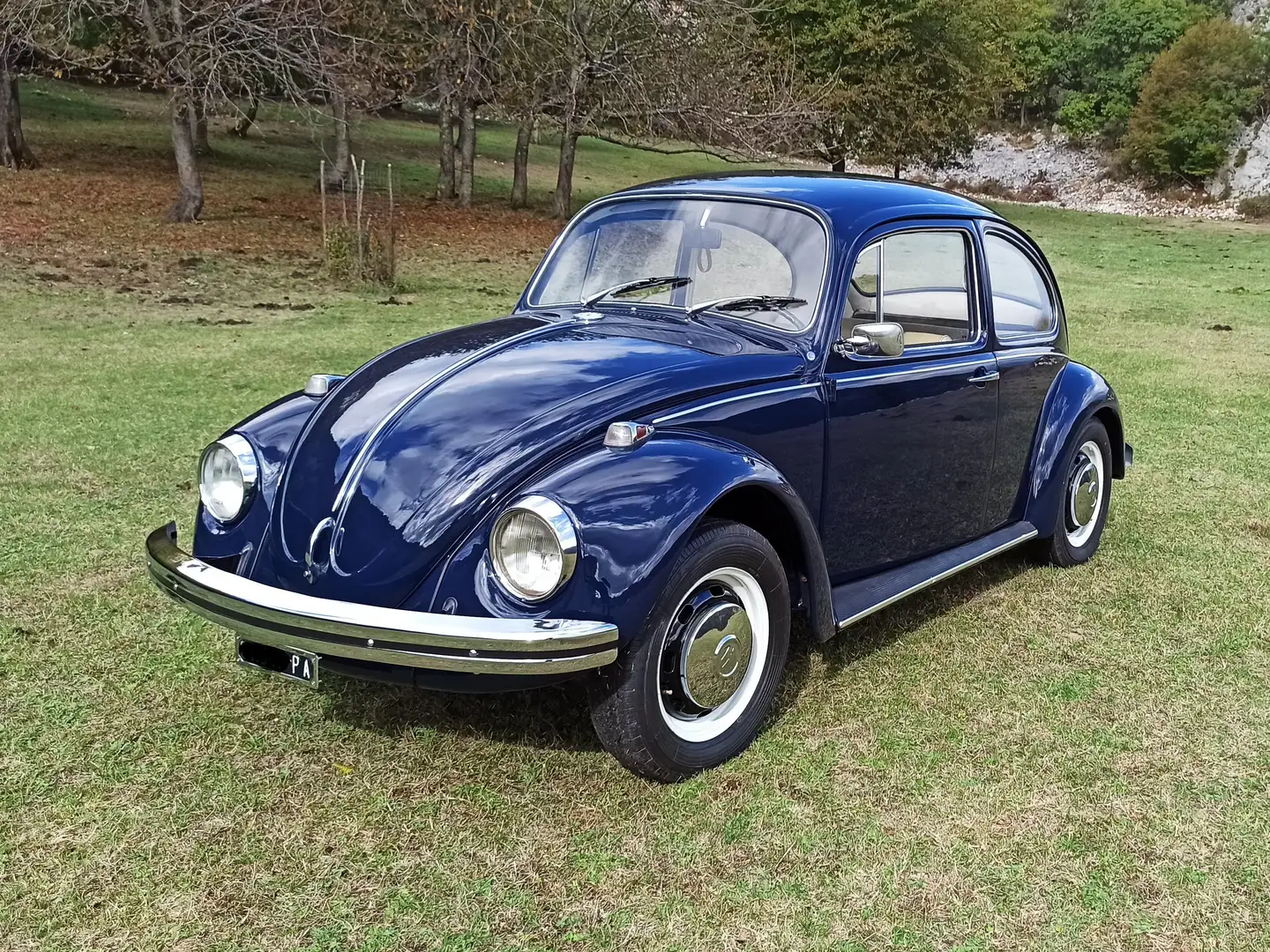 Volkswagen Käfer Albastru - 1