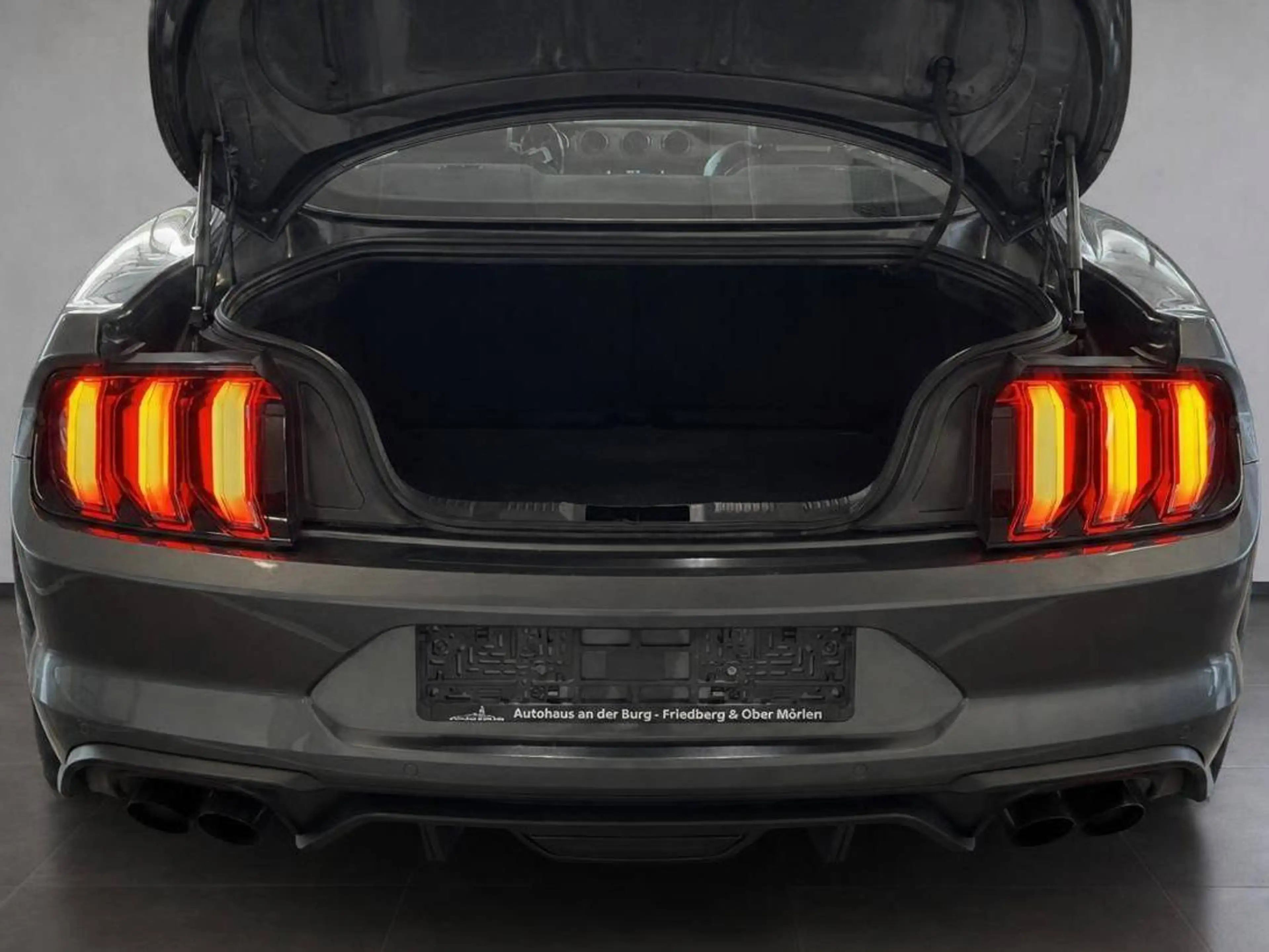 Ford Mustang GT Fastback — photo 8